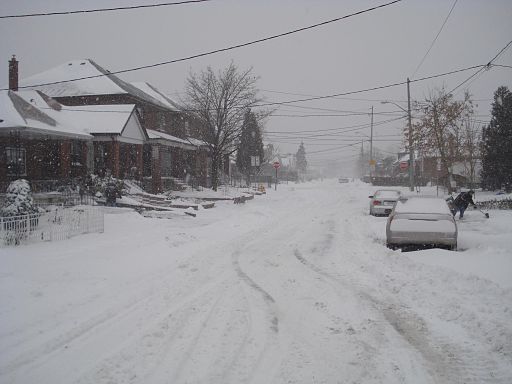 Snow in Toronto By Monael (Own work) [Public domain], via Wikimedia Commons