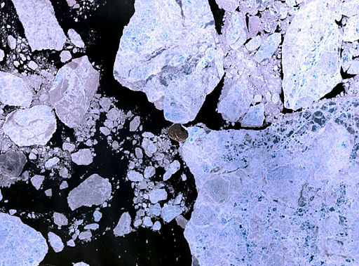 Hans island - the island Canada and Denmark fight over See page for author [Public domain], via Wikimedia Commons